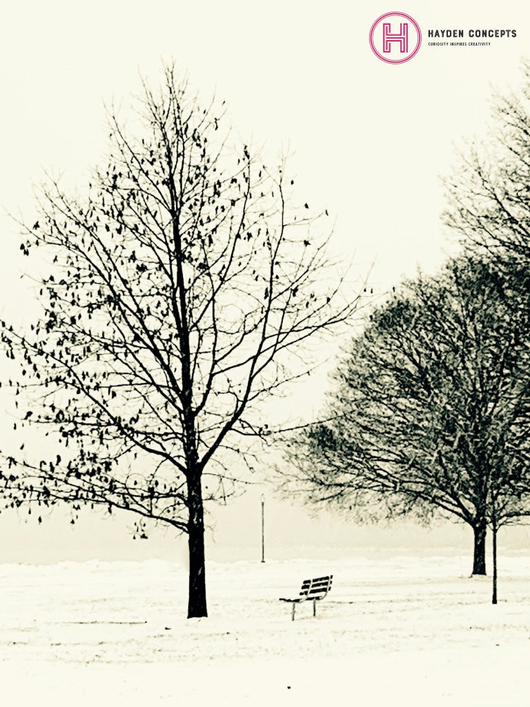 Empty Bench Photography