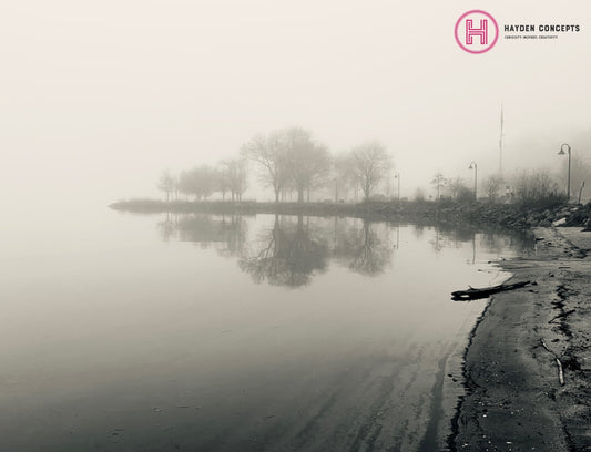 Misty Beach Photography
