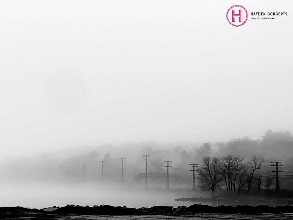 Telephone Lines Photography