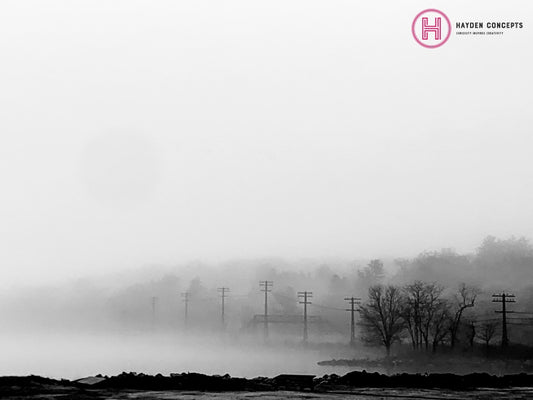 Telephone Lines Photography