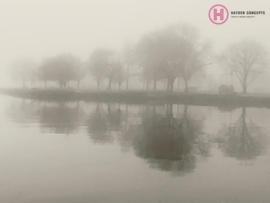 Tree Reflections Photography